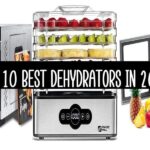 Top 10 Best Dehydrators In 2025